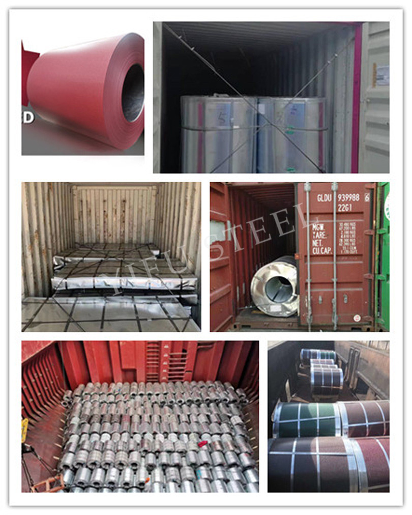 fabrika-PPGI-mbështjellje-mat-rrudhë-Prepainted-steel-coil-DETAILS8